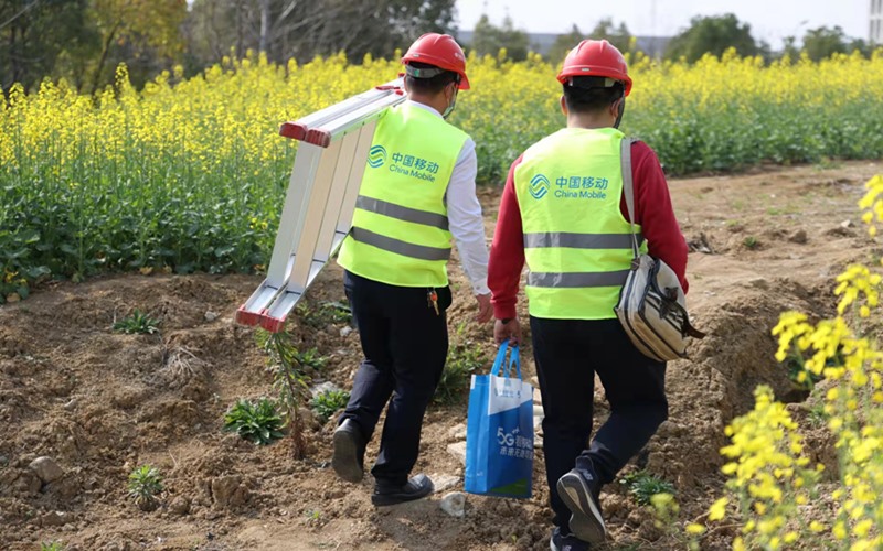 移動5G助力湖北市民云端賞花