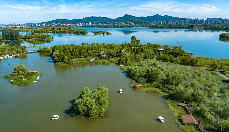 襄陽市月亮灣濕地公園草木吐翠，景色如畫。