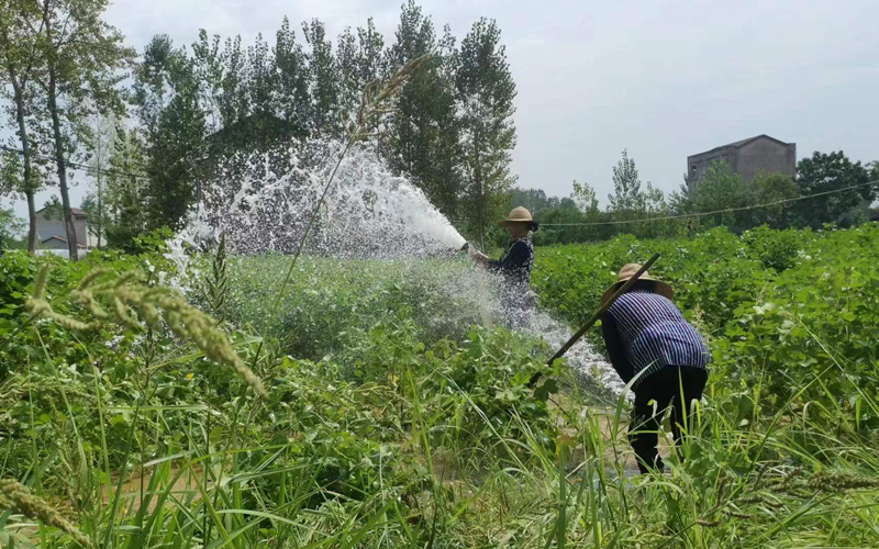 農(nóng)民正在澆灌田地。