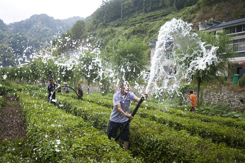 人大代表組織抗旱志原服務(wù)隊(duì)為村民干枯的茶葉抽水抗旱。