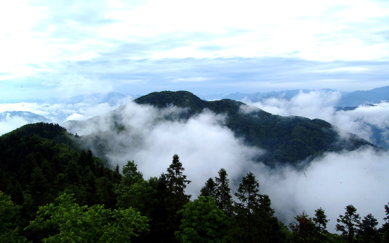 湖北竹山：念好“森林經(jīng)” 打好“康養(yǎng)牌”