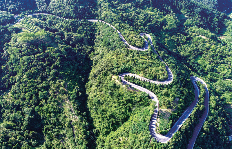 圖為層巒疊嶂間，彎彎曲曲的盤山路猶如巨龍蜿蜒盤旋。 鄖軒文攝