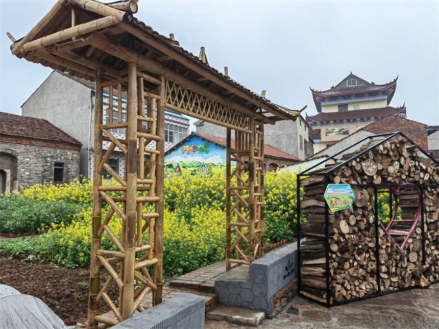 湖北武穴第十屆油菜花節(jié)開幕 43萬畝花海迎客