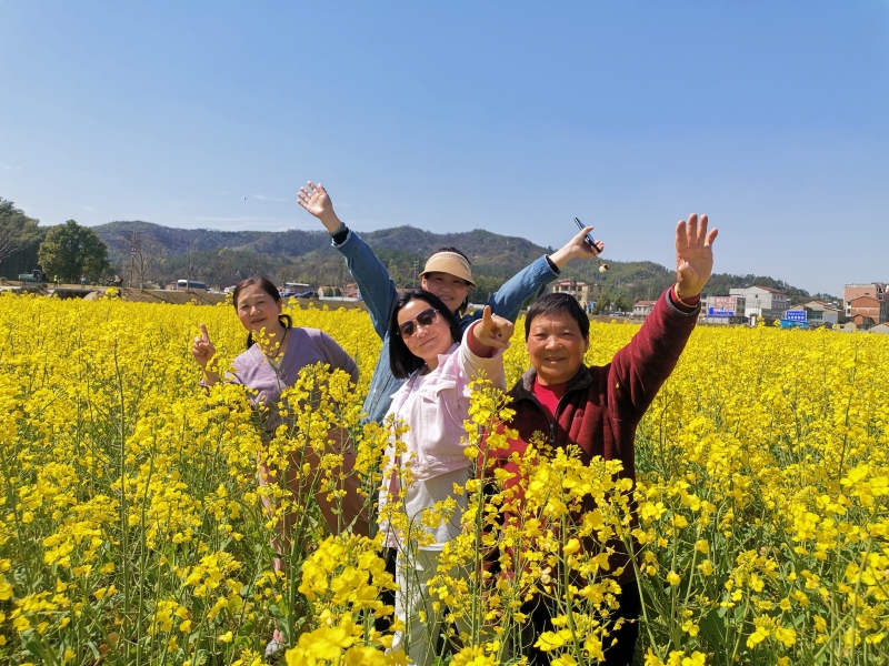 游客打卡湖北咸安油菜花海。胡劍芳攝