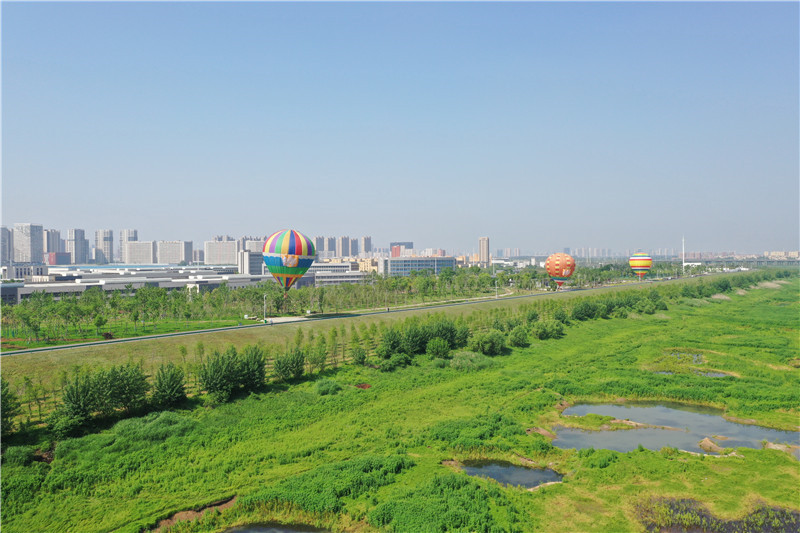 府河兩岸綠意盎然。東西湖區(qū)委宣傳部供圖