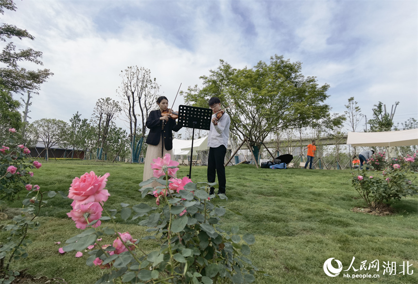 武漢：城市郊野新玩法 “梧桐雨”中享綠色生活