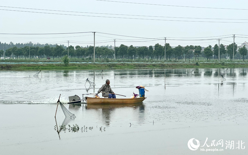 自動投食設(shè)備給小龍蝦投