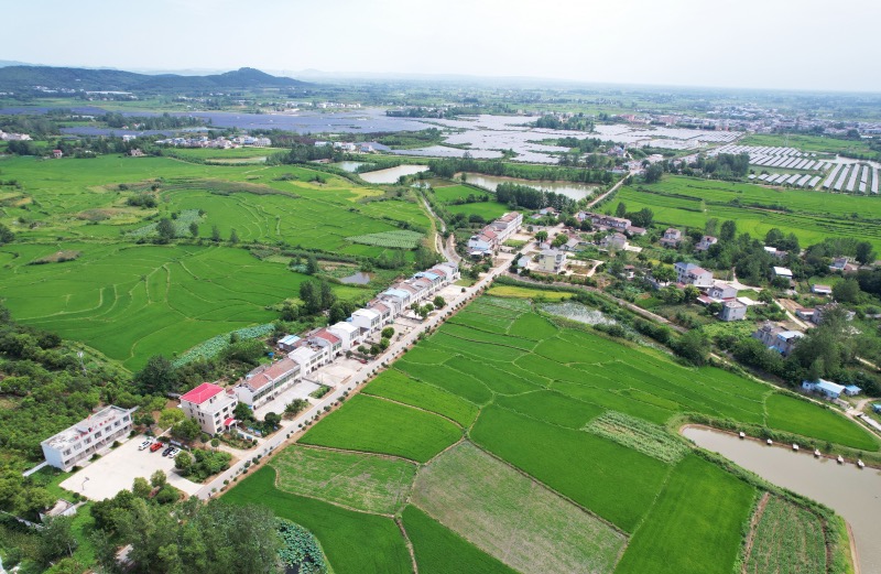 美麗鄉(xiāng)村新圖景。天門(mén)市委宣傳部供圖 