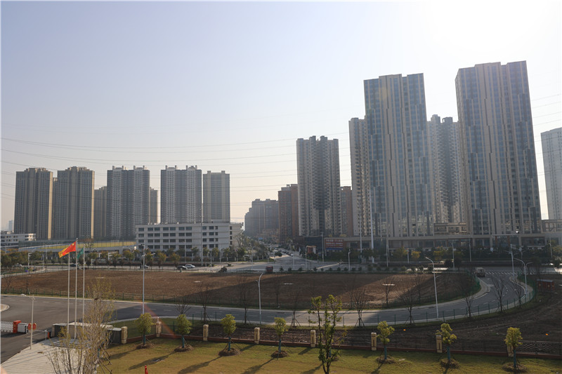 廠區(qū)門口空地（姜欣欣 攝