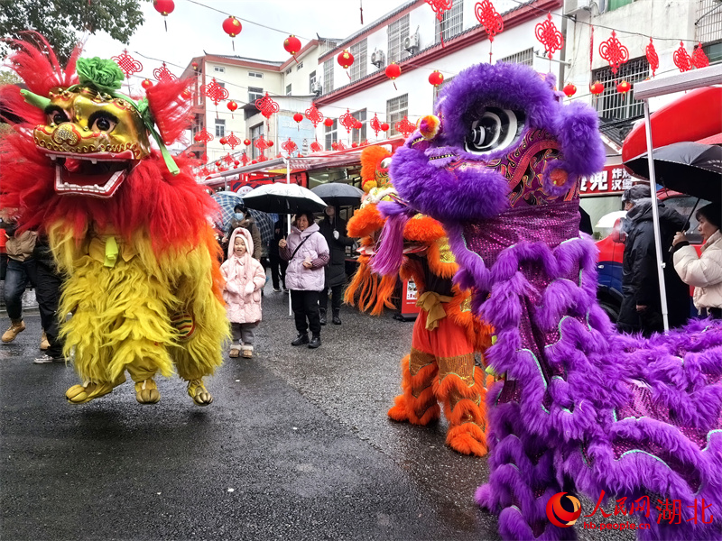 舞龍舞獅鬧新春。人民網(wǎng)記者 周雯攝