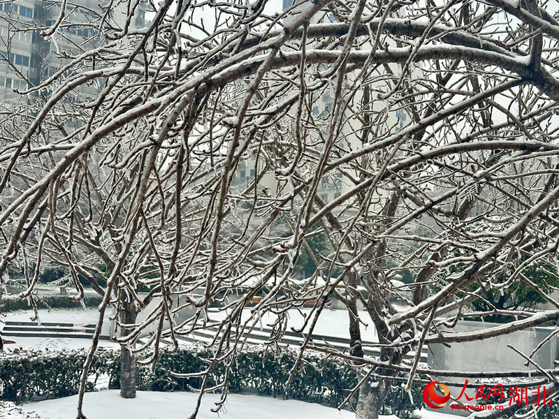 范圍廣，極端性強(qiáng)！氣象專家解讀凍雨