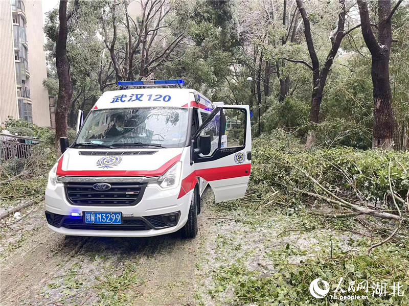 遭遇凍雨，120出車時(shí)還要先處理倒伏的樹枝。人民網(wǎng)記者 郭婷婷攝