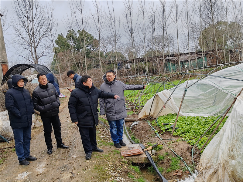 2月21日，東西湖區(qū)農(nóng)業(yè)農(nóng)村局王燕常副局長帶隊到長青街道查看蔬菜和大棚受災(zāi)情況。