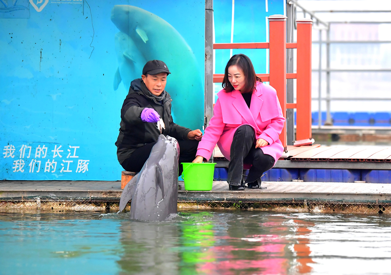 2023年12月28日，王瓊帶隊(duì)前往天鵝洲白鱀豚國家級自然保護(hù)區(qū)。劉斌攝