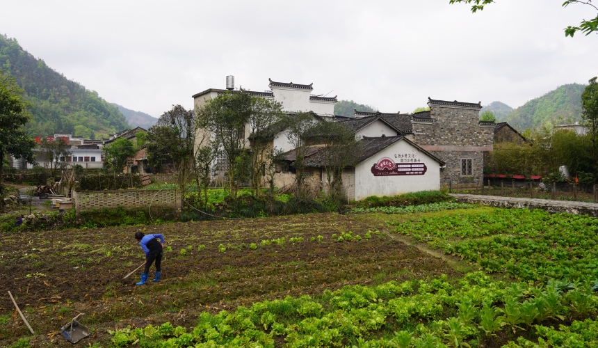 在通山石門(mén)村長(zhǎng)夏畈古民居群，村民正在田間勞作。人民網(wǎng)記者 周雯攝