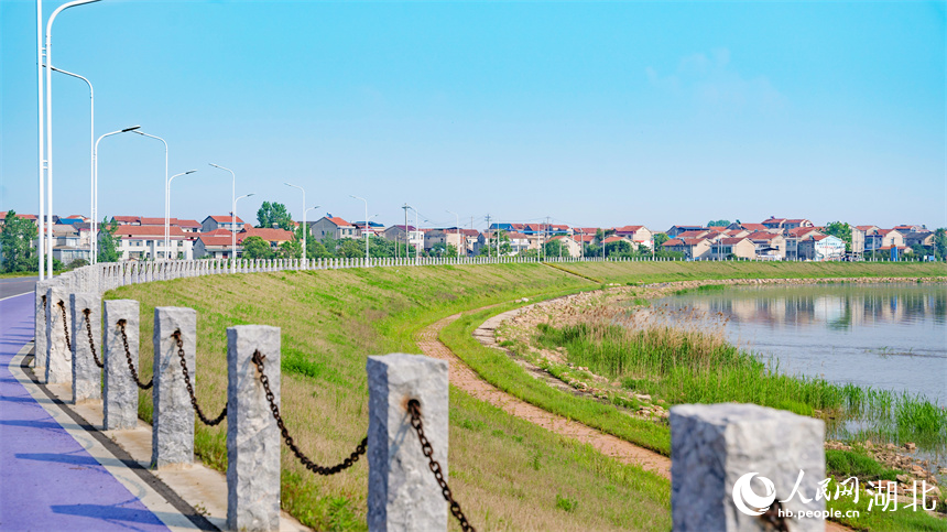 梁子湖邊道路。人民網(wǎng)記者 周倩文攝