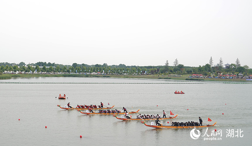 龍舟賽在杜公湖國家濕地公園舉行。人民網(wǎng)記者 周雯攝