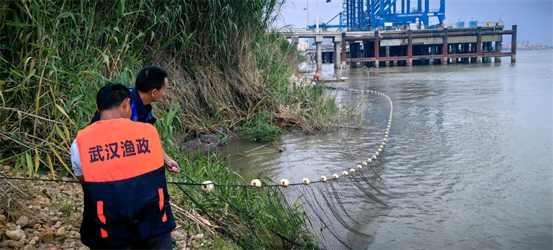 抓捕鱷魚。武漢市農(nóng)業(yè)農(nóng)村局供圖