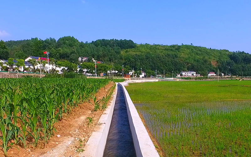 湖北省十堰市鄖陽區(qū)譚家灣鎮(zhèn)黃畈村渠水嘩嘩稻青青