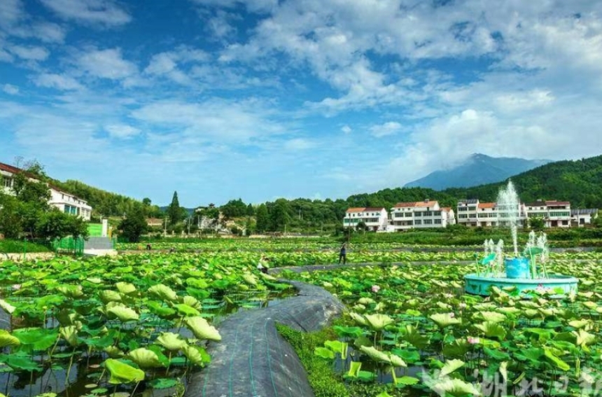 湖北武穴多彩旅游路串起一路好風(fēng)景。