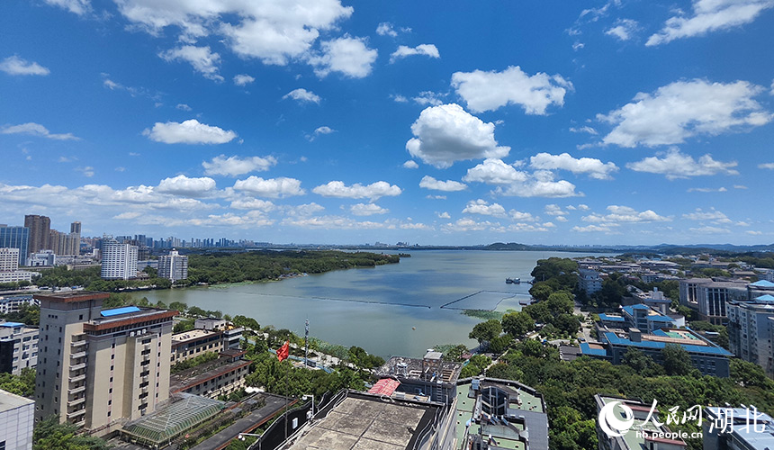 7月29日，藍天白云下的武漢東湖。