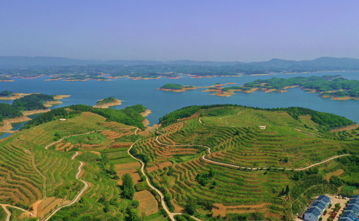 丹江口庫區(qū)水土保持小流域治理。湖北省水利廳供圖