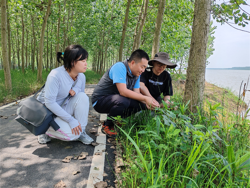 中國地質(zhì)大學(xué)（武漢）教授陳昆侖和學(xué)生在石首長江故道邊進(jìn)行生態(tài)考察。陳華文攝