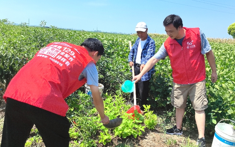 熱浪滾滾，湖北移動(dòng)駐村工作隊(duì)不懼高溫澆灌農(nóng)田。