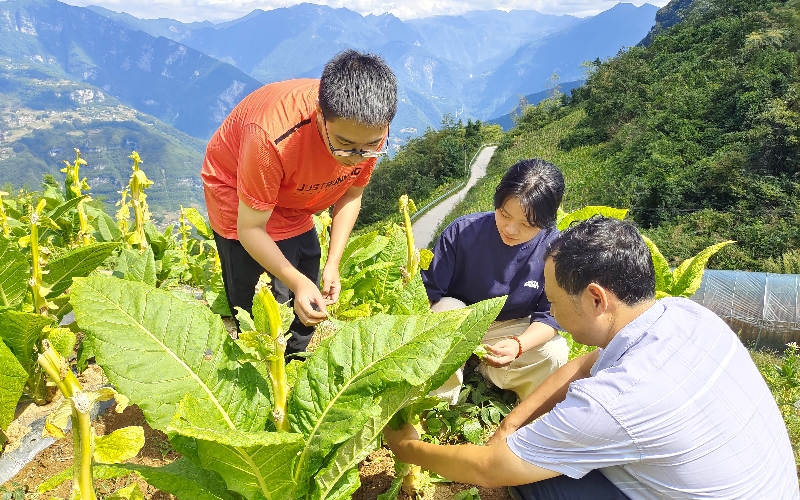 長(zhǎng)陽(yáng)土家族自治縣煙草專賣局聚力“墩苗”培養(yǎng)。