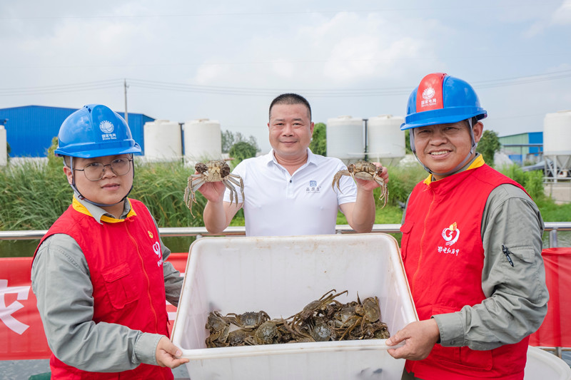 國網武漢供電公司精細服務助力零碳智慧漁業(yè)喜獲豐收。