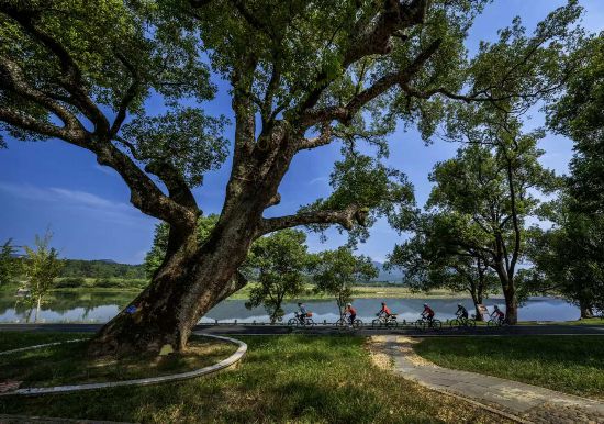 武夷山國家公園1號(hào)風(fēng)景道（南平崇陽溪段）。吳大灼 攝